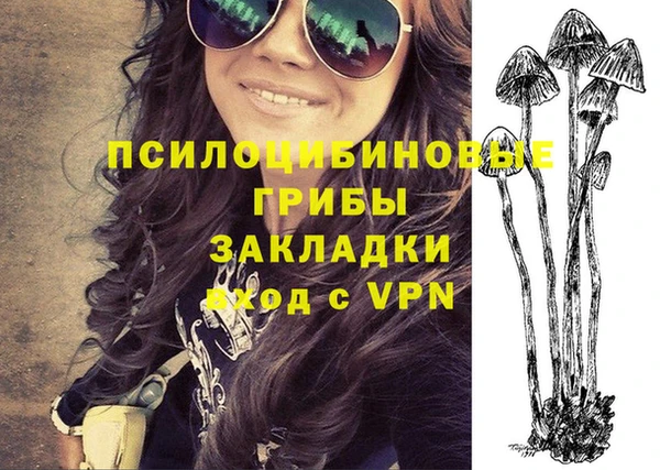 бошки Абинск