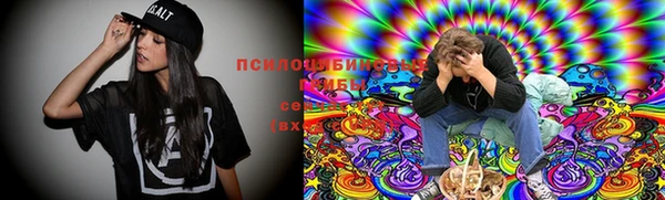 бошки Абинск